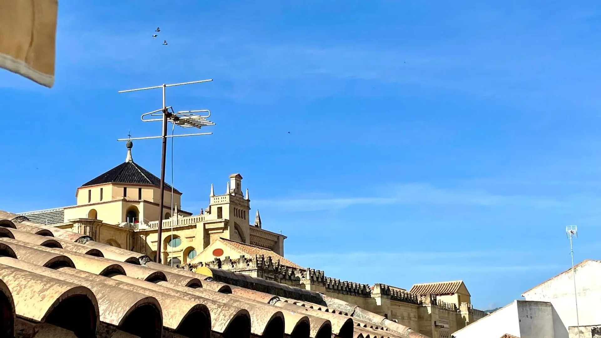 דירה קורדובה El Balcon Del Puente Romano Con Parking Gratis